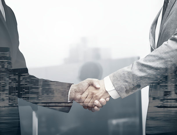 The strategic partner